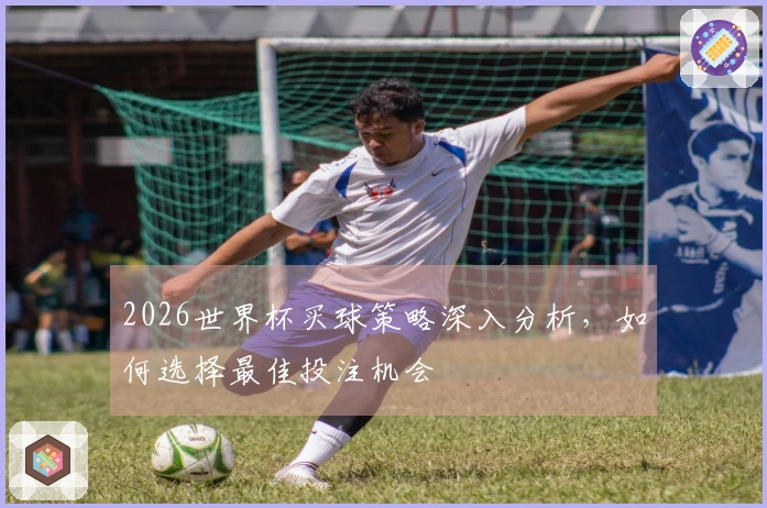 2026世界杯买球策略深入分析，如何选择最佳投注机会