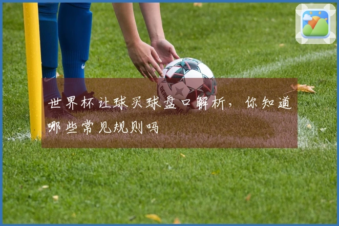世界杯让球买球盘口解析，你知道哪些常见规则吗