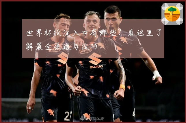 世界杯投注入口有哪些？看这里了解最全渠道与技巧