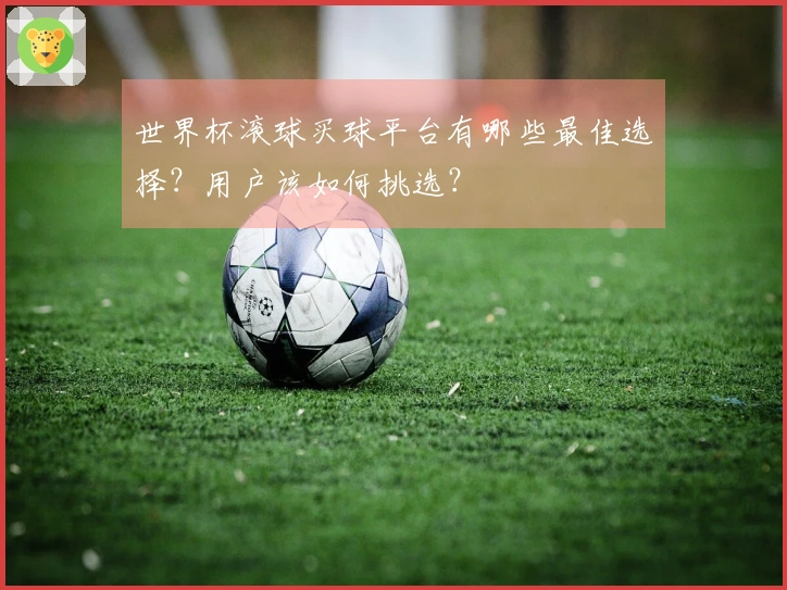 世界杯滚球买球平台有哪些最佳选择？用户该如何挑选？