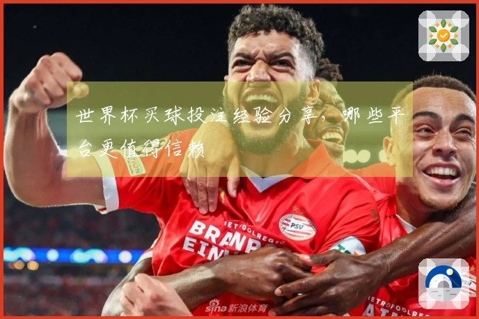 世界杯买球投注经验分享，哪些平台更值得信赖