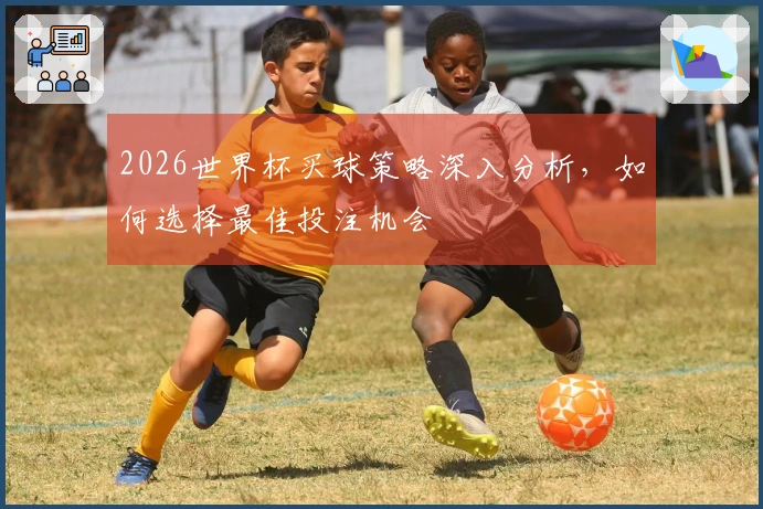 2026世界杯买球策略深入分析，如何选择最佳投注机会