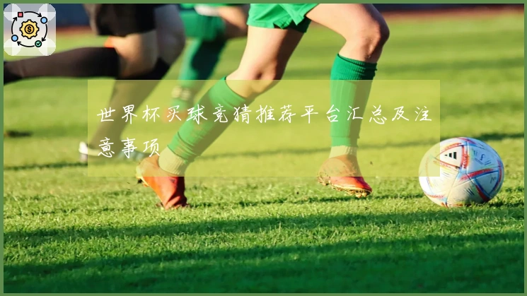 世界杯买球竞猜推荐平台汇总及注意事项