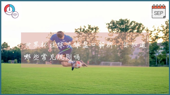 世界杯让球买球盘口解析，你知道哪些常见规则吗